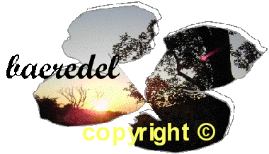 Baeredel unm-copyright