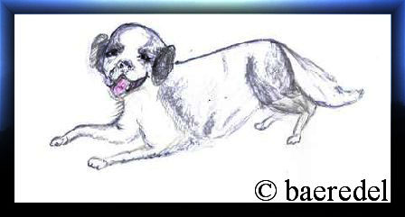 Zeichnung by Baeredel "Hund freut sich"