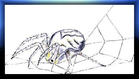 Zeichnung by Baeredel "Spinne"