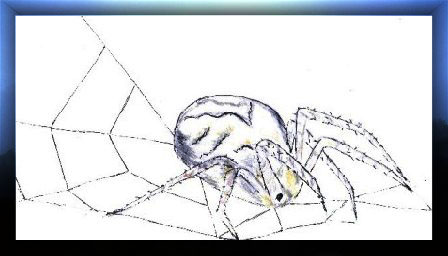 Zeichnung by Baeredel "Spinne Spinnidas"