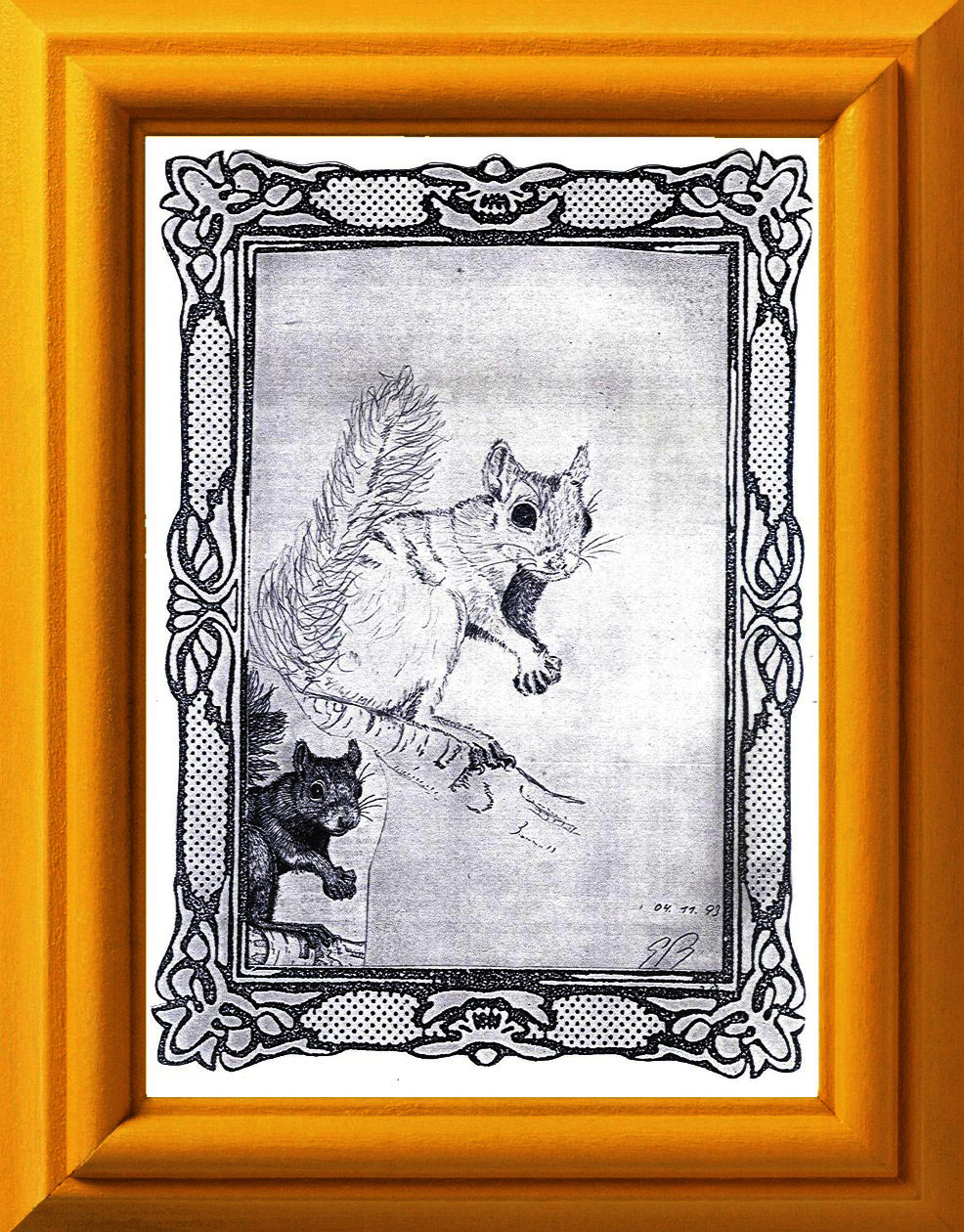 Bleistift-Zeichnung by Baeredel "Eichhörnchen" nach einem  Zeitungsbildchen - Ausschnitt